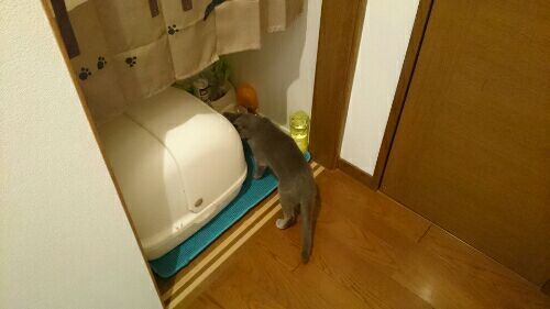 rblog-20170528184920-04.jpg