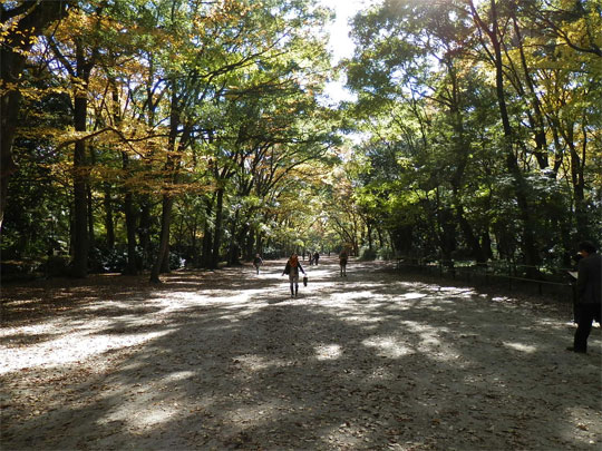 kyoto2012112502.jpg