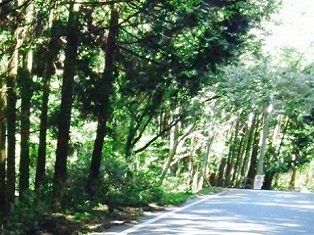 写真２.jpg