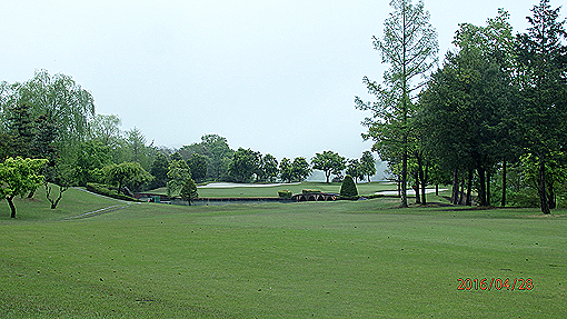 P4283385h2.jpg