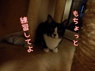 もっと練習.JPG