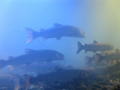 IMG_3821.jpg