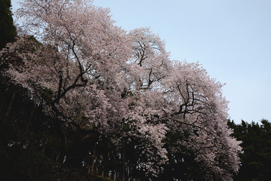 2016 04 10_3118.jpg