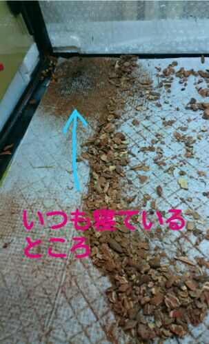 rblog-20151115133930-02.jpg