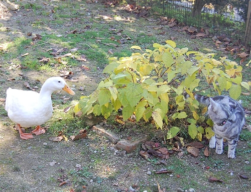 DSC_0128.JPG