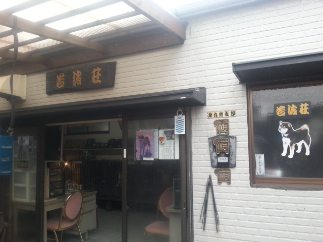 20150419_135935.jpg