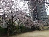 DSC 0561.JPG