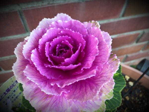 rblog-20161231163703-07.jpg