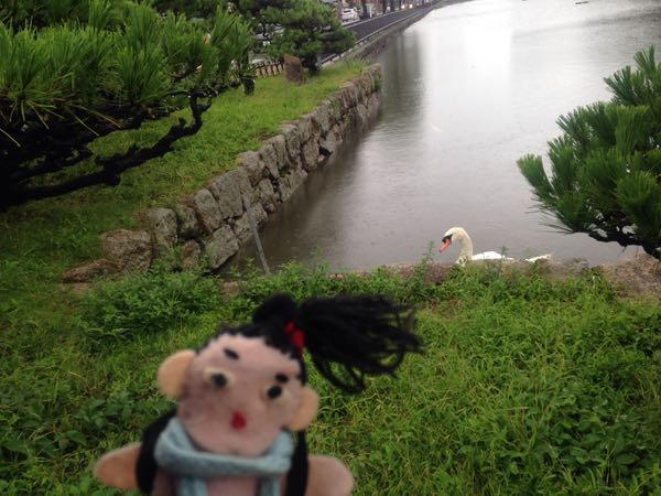 rblog-20180707145609-01.jpg