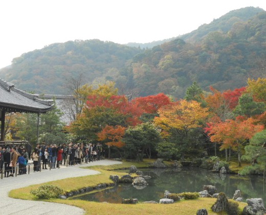 2015-11-22 天龍寺・曹源池.jpg