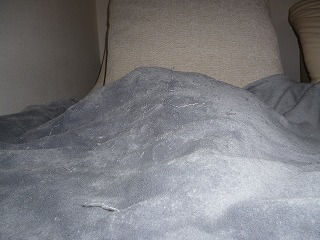 P1250161ss.jpg