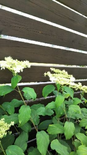 rblog-20180720211502-02.jpg