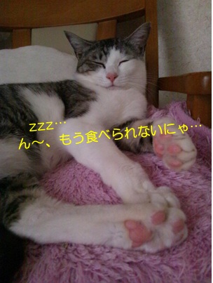 20120706_5.jpg
