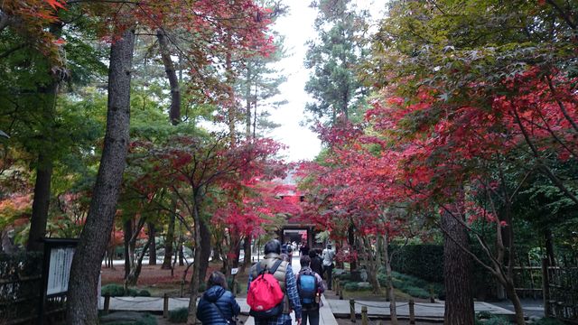 2015-11-22 09.07.08.jpg