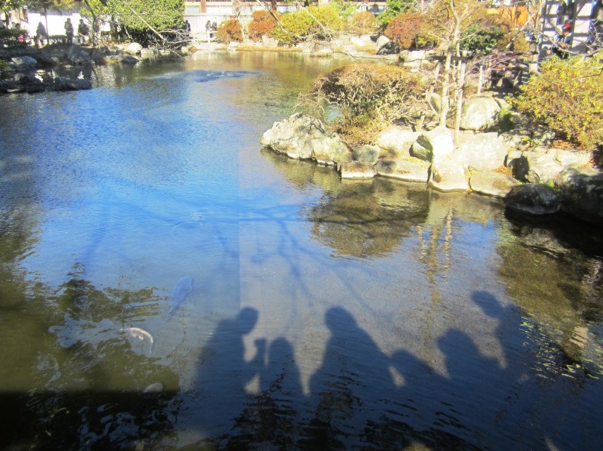 IMG_4285^.JPG