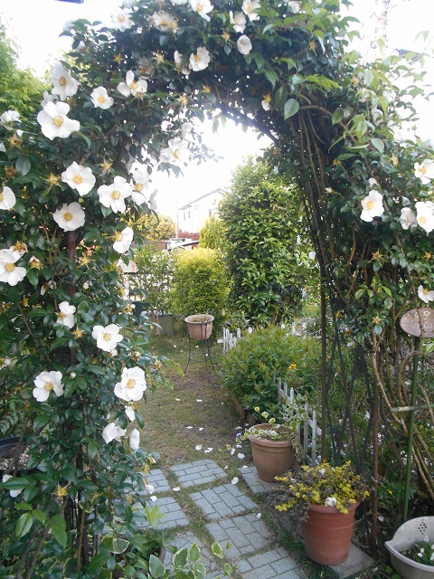 DSCN1800.JPG