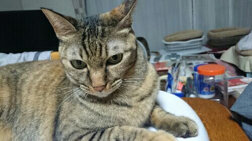 rblog-20161013235445-02.jpg