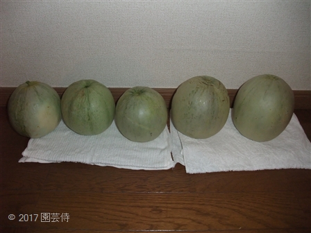 大和プリンスS 20170807