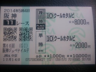 2014.12.14_hanshin11.jpg