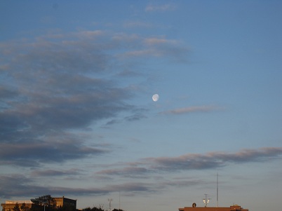 IMG_7224.JPG
