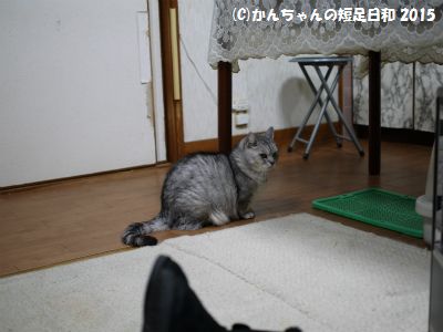P1060334.jpg