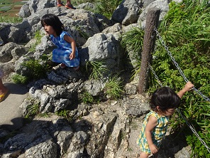 DSC02699.JPG