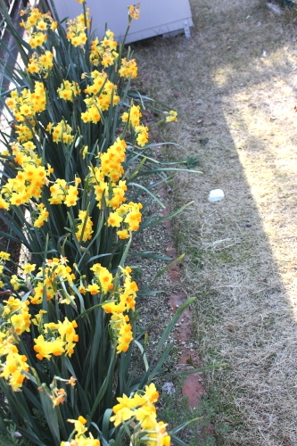 20160327002.jpg