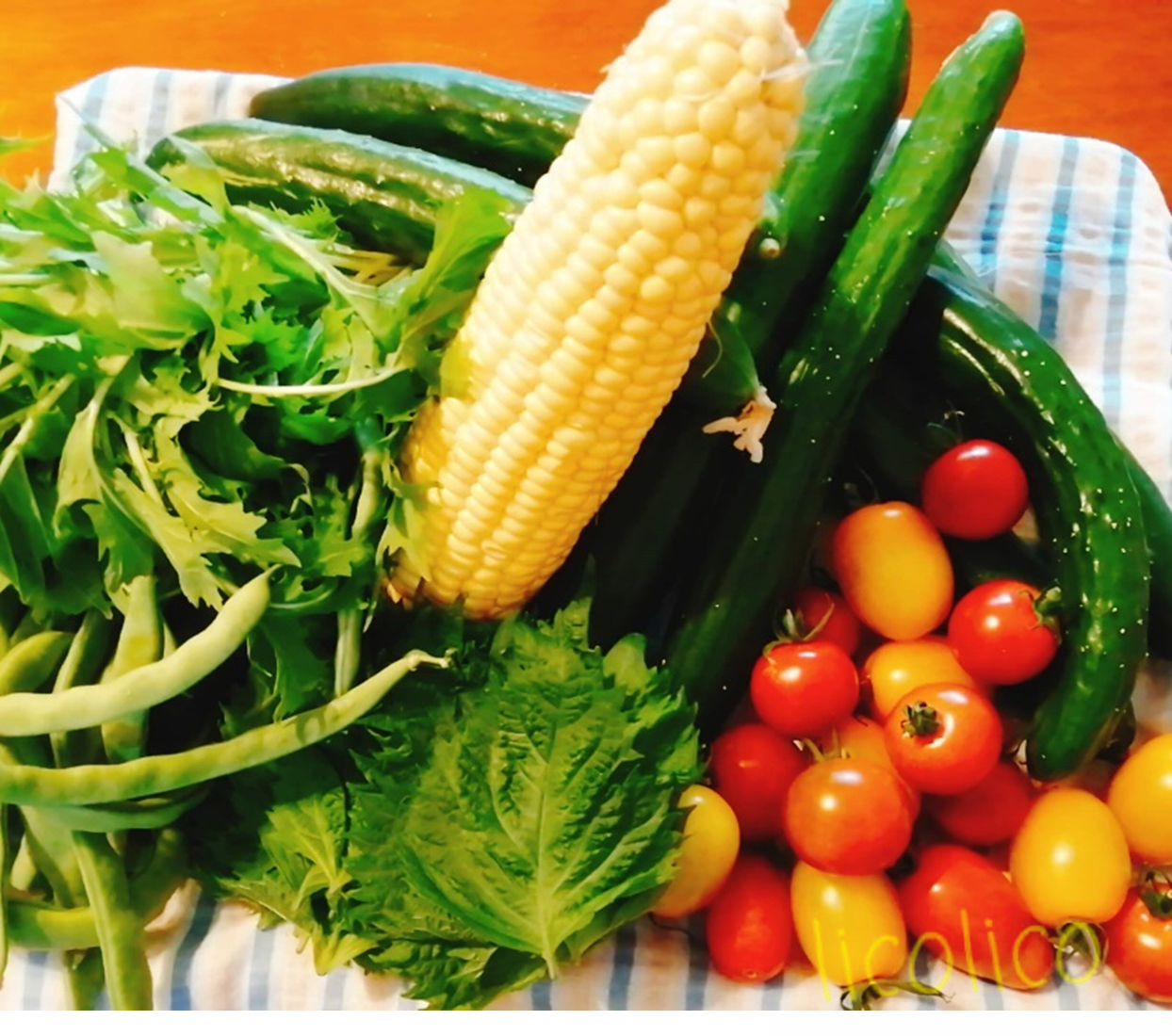 夏野菜をたくさんいただきテンション上がる 折り返し地点から