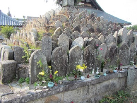 ８１集合墓.jpg