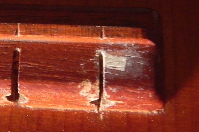 DSCN2483.JPG