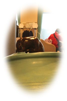 IMG_5747blog.JPG