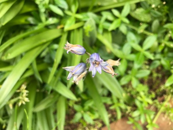rblog-20180430174711-00.jpg