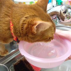 ３月５日分 028.jpg