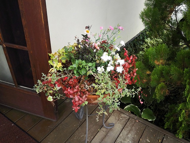 IMG_20171007_122042ss.jpg