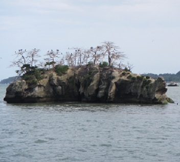 ３２枯木の島.jpg