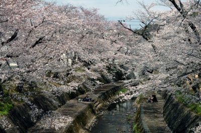 関川