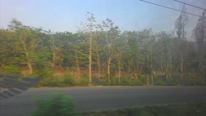 P_20160506_071133 - コピー.jpg