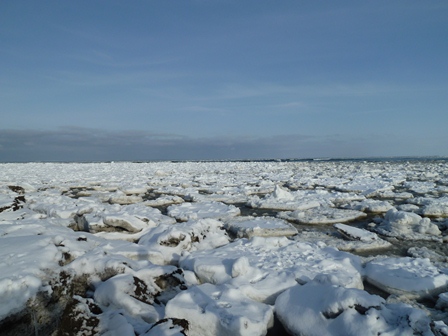 P1000990.jpg