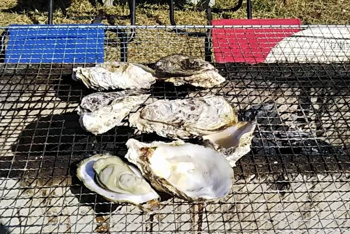 九十九島かき食うカキ祭りに参加です ベルポンのうふふ２ 楽天ブログ