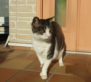 IMG_5556ss.jpg