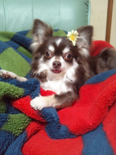 rblog-20140504203444-00.jpg