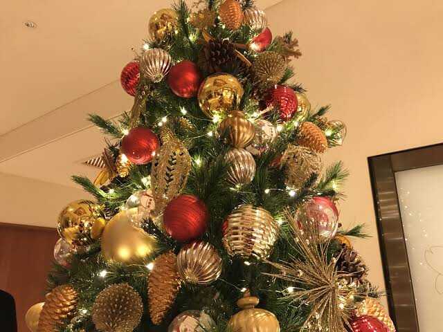 Xmas Season 飼い猫 メケちゃん の場合 髭塗れ編集長のブログ 楽天ブログ