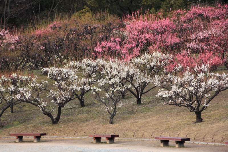 緑ヶ丘公園_003.jpg