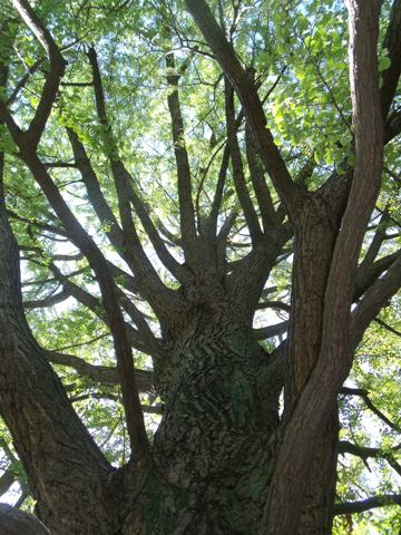 DSCF2894.JPG