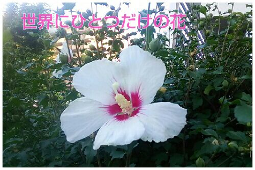 rblog-20160624063044-00.jpg