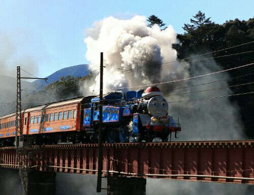 大井川鐵道トーマス列車の旅 のびのびのんびり育児 楽天ブログ