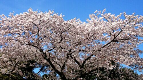 rblog-20170412213859-04.jpg