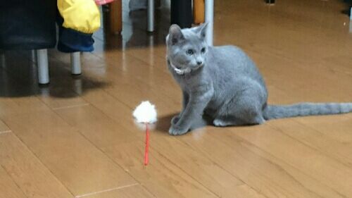 rblog-20170205195707-02.jpg