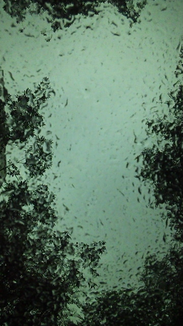 120806_151919.jpg