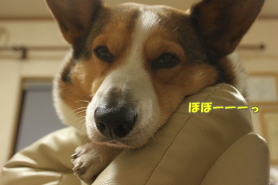 IMG020902.JPG